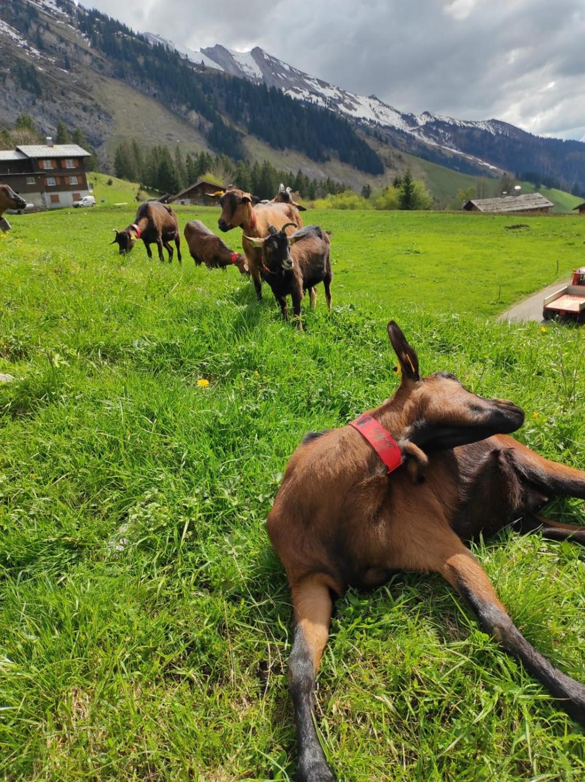 Le Week-End 3 Etoiles, Plein Centre Ville La Clusaz Kültér fotó